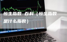 恒生指数 百科（恒生指数是什么指数）