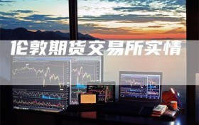 伦敦期货交易所实情