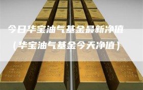 今日华宝油气基金最新净值（华宝油气基金今天净值）