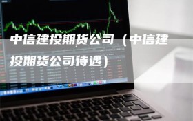 中信建投期货公司（中信建投期货公司待遇）