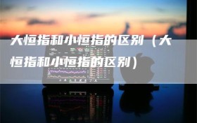 大恒指和小恒指的区别（大恒指和小恒指的区别）
