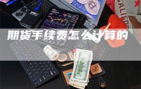 期货手续费怎么计算的