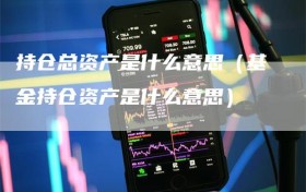 持仓总资产是什么意思（基金持仓资产是什么意思）