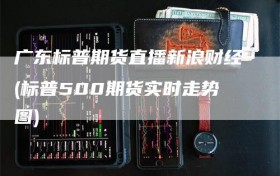 广东标普期货直播新浪财经(标普500期货实时走势图)