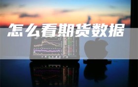 怎么看期货数据