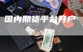 国内期货平台开户