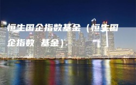 恒生国企指数基金（恒生国企指数 基金）