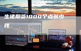 生猪期货1000个点多少钱