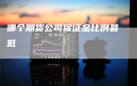 哪个期货公司保证金比例最低