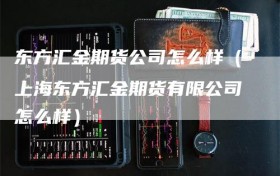 东方汇金期货公司怎么样（上海东方汇金期货有限公司怎么样）