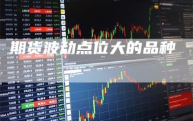 期货波动点位大的品种