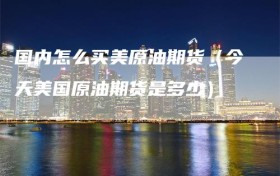 国内怎么买美原油期货（今天美国原油期货是多少）