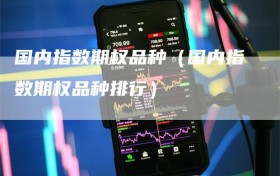 国内指数期权品种（国内指数期权品种排行）