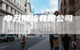 申万期货有限公司
