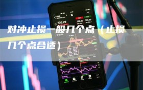 对冲止损一般几个点（止损几个点合适）
