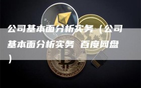 公司基本面分析实务（公司基本面分析实务 百度网盘）