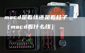macd是看线还是看柱子（macd看什么线）