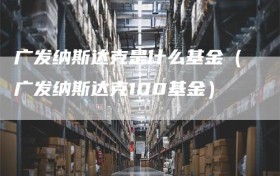 广发纳斯达克是什么基金（广发纳斯达克100基金）