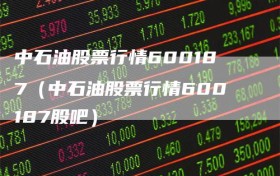 中石油股票行情600187（中石油股票行情600187股吧）