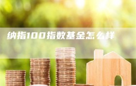 纳指100指数基金怎么样