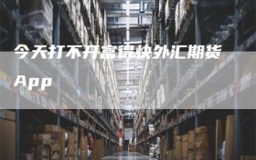 今天打不开富得快外汇期货App