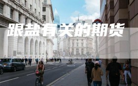 跟盐有关的期货