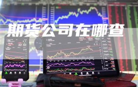 期货公司在哪查