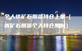 个人铁矿石期货持仓上限（铁矿石期货个人持仓限制）