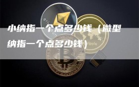 小纳指一个点多少钱（微型纳指一个点多少钱）