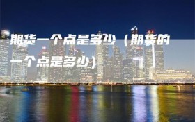 期货一个点是多少（期货的一个点是多少）