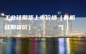 工业硅期货上市价格（有机硅期货价）