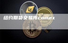 纽约期货交易所comex