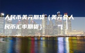 人民币美元期货（美元兑人民币汇率期货）