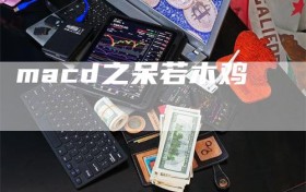 macd之呆若木鸡