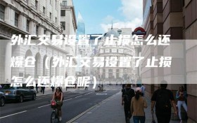 外汇交易设置了止损怎么还爆仓（外汇交易设置了止损怎么还爆仓呢）