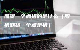 期货一个点指的是什么（股指期货一个点是指）
