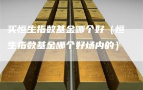 买恒生指数基金哪个好（恒生指数基金哪个好场内的）
