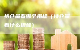 持仓量看哪个指标（持仓量看什么指标）
