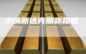 小纳斯达克期货指数