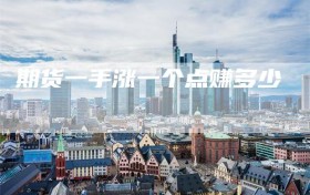 期货一手涨一个点赚多少