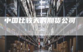 中国比较大的期货公司