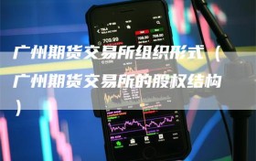 广州期货交易所组织形式（广州期货交易所的股权结构）