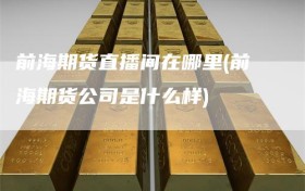 前海期货直播间在哪里(前海期货公司是什么样)