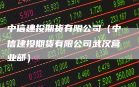 中信建投期货有限公司（中信建投期货有限公司武汉营业部）