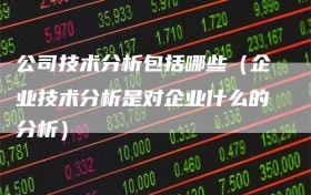 公司技术分析包括哪些（企业技术分析是对企业什么的分析）