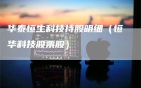 华泰恒生科技持股明细（恒华科技股票股）