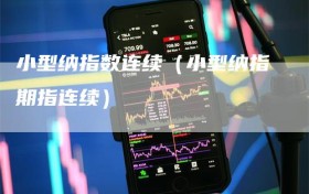 小型纳指数连续（小型纳指期指连续）