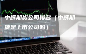 中辉期货公司排名（中辉期货是上市公司吗）