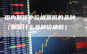 国内期货中价格最低的品种（期货什么品种价格低）