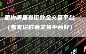 国内哪里有伦敦金交易平台（哪家伦敦金交易平台好）